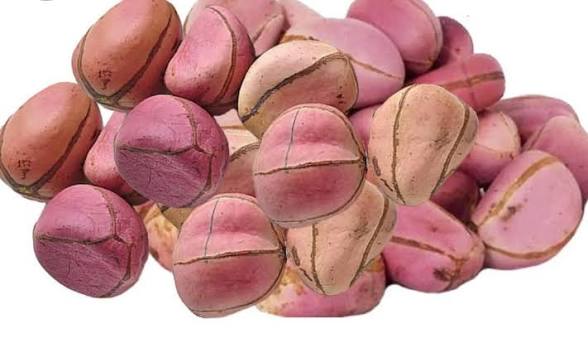 Kola (Obi Oju Meta)