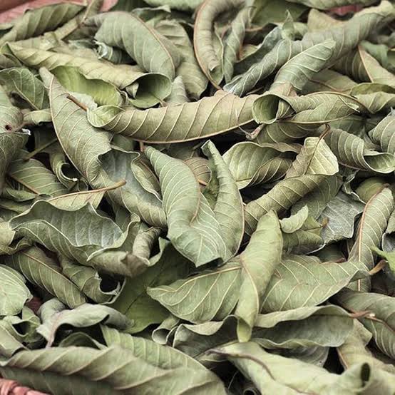 Dried Guava Leaves