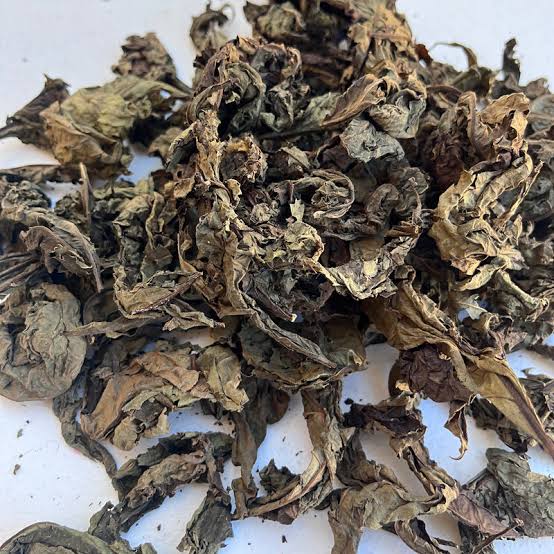 Dried Bitter Leaves