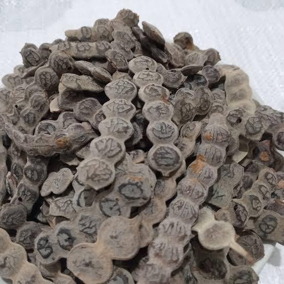 Bagaruwa Seed (Bagoni Seed)