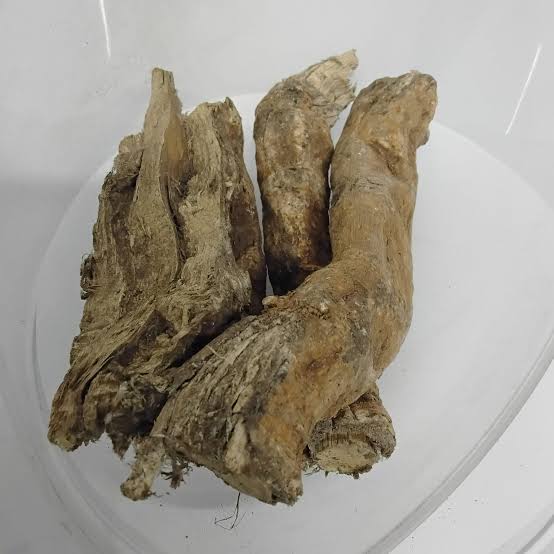 Egbo Ipeta