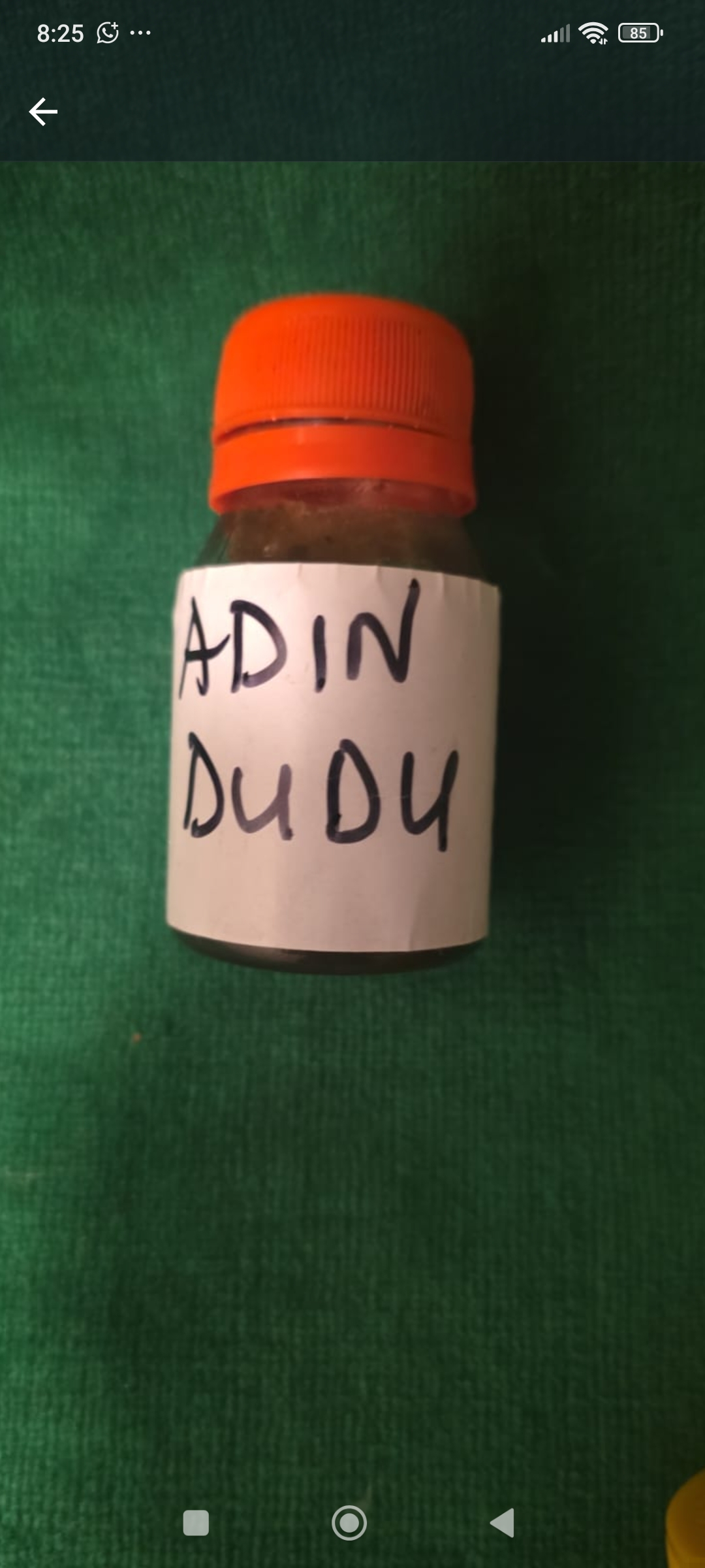 Adin Dudu