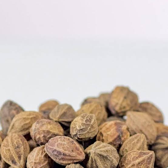 Omilo Nut