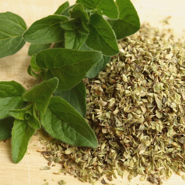 Oregano Leaves