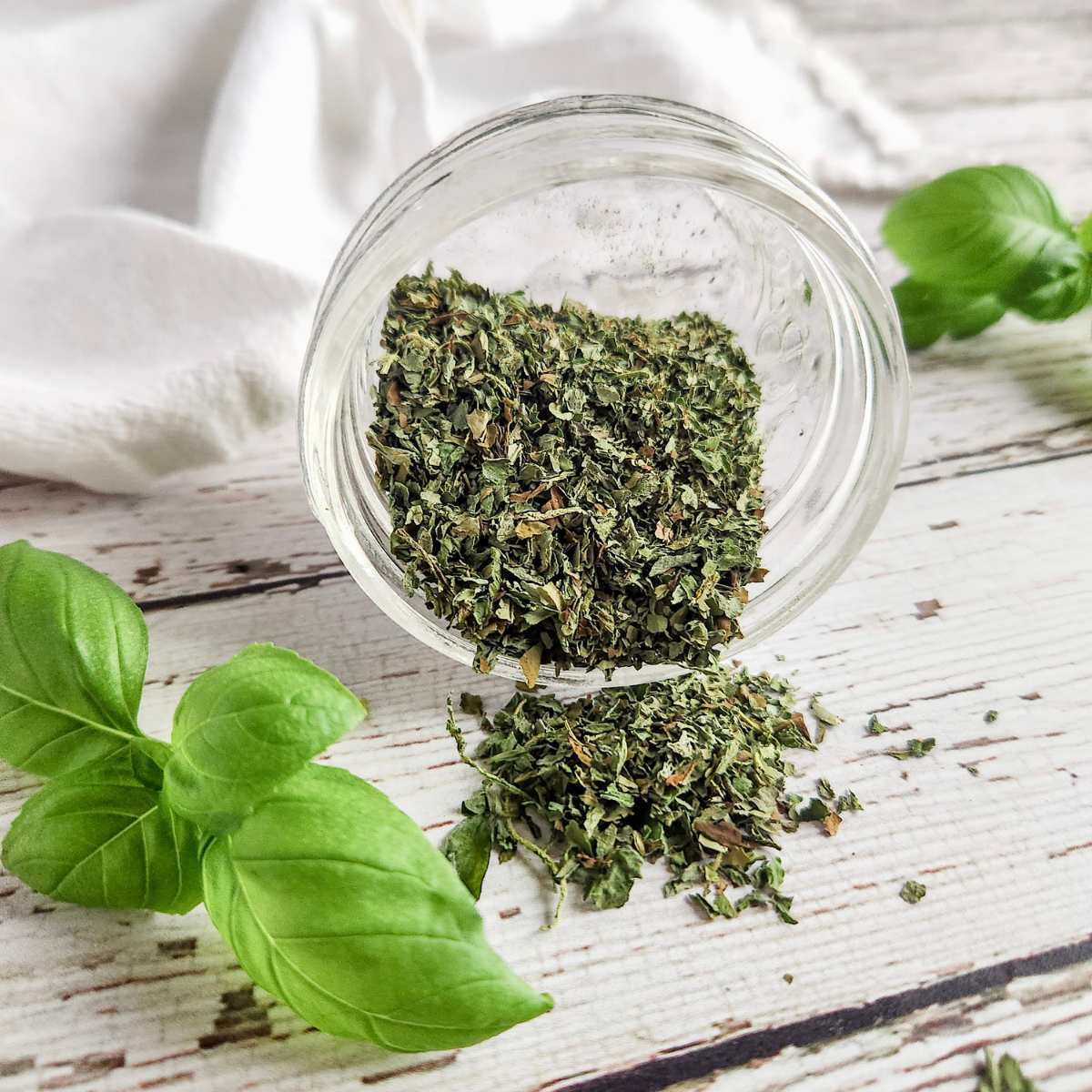 Basil Leaves