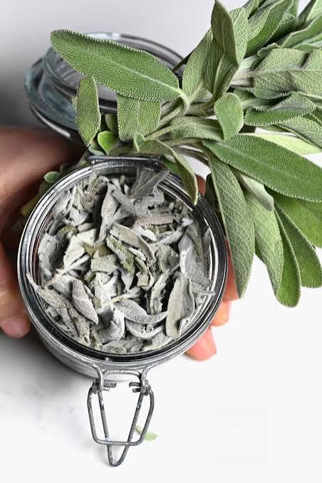 Sage Leaves