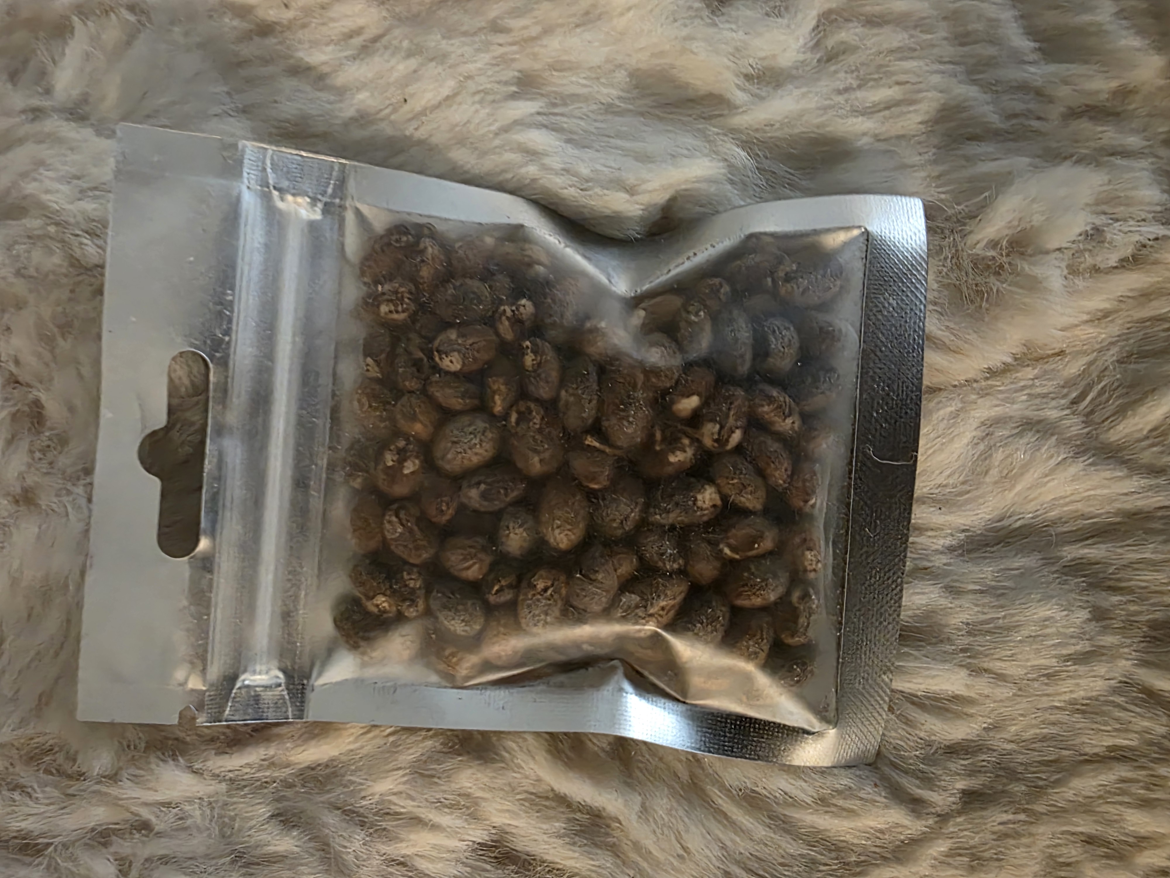 Miracle Seed Powder