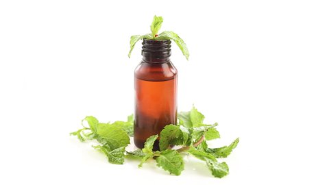 Mint Oil 30ml